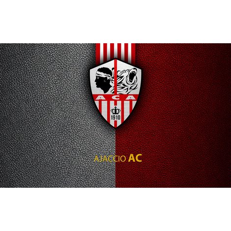 Papier peint panoramique Foot / Football - ACA - AC Ajaccio - 325 cm x 203 cm (1/2)