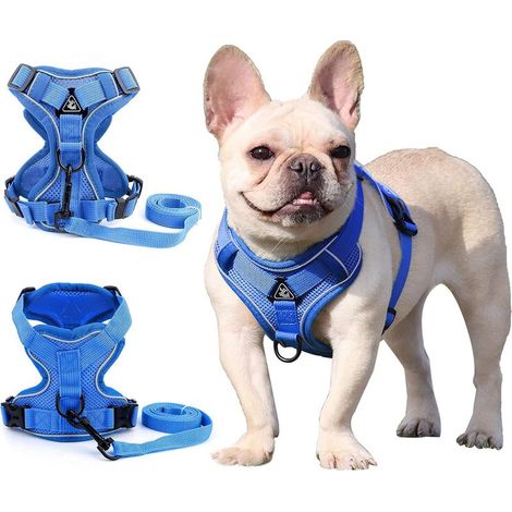 Harnais pour chien de petite et moyenne taille (bleu S)-Fei Yu