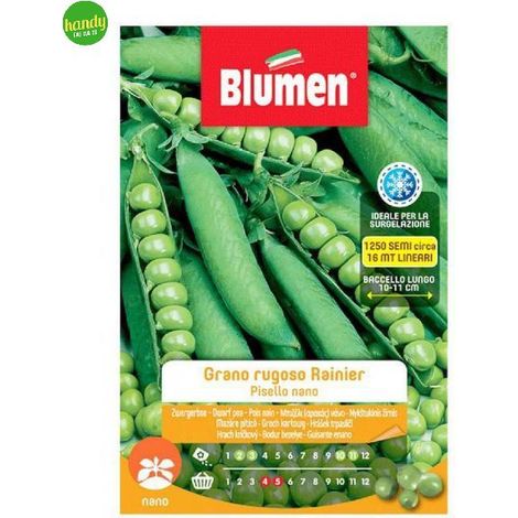 Semi Blumen piselli grano rugoso rainier