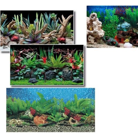Le Fond De L'aquarium 50 X 115 Cm