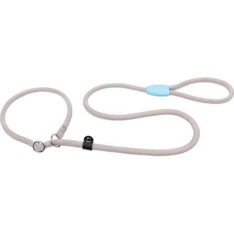 Laisse et Collier pour Chien, Laisse avec Collier Demi-étrangleur Ajustable, en Corde de Nylon, Poignée pour Un Contrôle Sûr, Longueur 170 cm, Gris (1/5)
