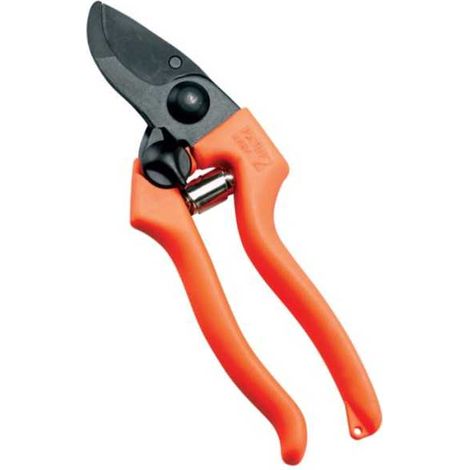 Raspador Patín 2 195 31131 Ausonia