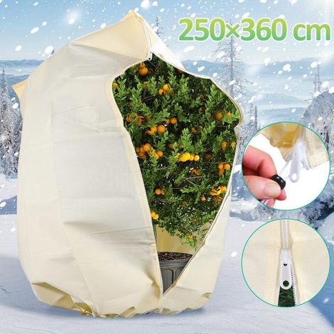 royaluxe - 2x Housse d'hivernage pour plantes Protection hivernale 250x360cm pour plantes en bacs Palmiers 100g/m² (1/3)