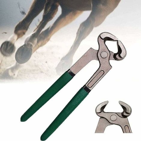 Hufschere – Gehärteter Stahl, 25 cm – Ergonomischer Gummigriff – Für Pferde, Schafe, Schweine, Rinder – 1 Stück (1/5)