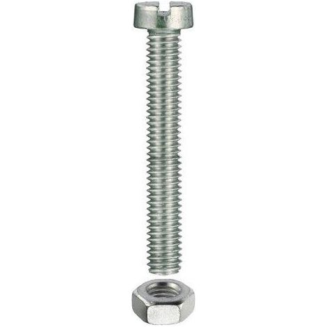VITI PER METALLO TESTA CILINDRICA M4 X 50 - 8 PZ.