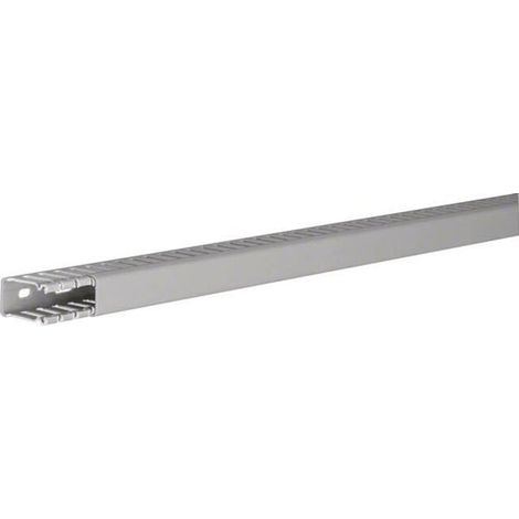 Tehalit Verdrahtungskanal BA6 30015B gr 2 Stk