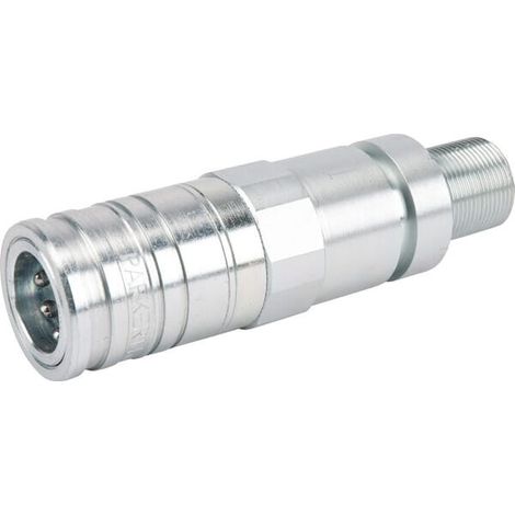 Raccord rapide FENDT G718960100012 (1/2)