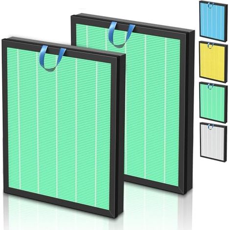 Filtre de rechange pour absorbeur de toxines pour purificateur d'air Vital 200S Vital 200S-P (1/5)