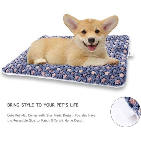 Tapis de cage pour chien - - Motif étoiles - 57x38 cm - Convient aux chiens de toutes tailles - 1 pièce (1/3)