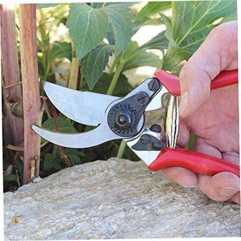 Pièces de ressort de sécateur de jardin en acier inoxydable à ressort de volute de rechange, ressort de rechange pour cisailles de vigne, d'arbre et de jardin, 5pcs (1/4)