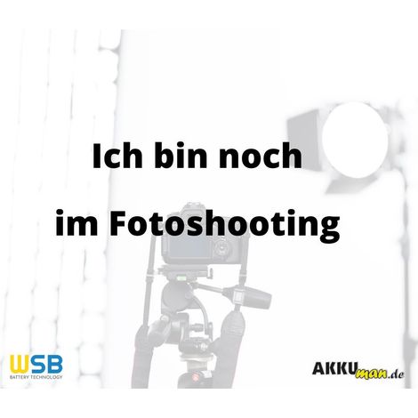 Ladegerät mit 1x Blei-Akku 12V 0,8Ah MP0.8-12H AMP-Stecker