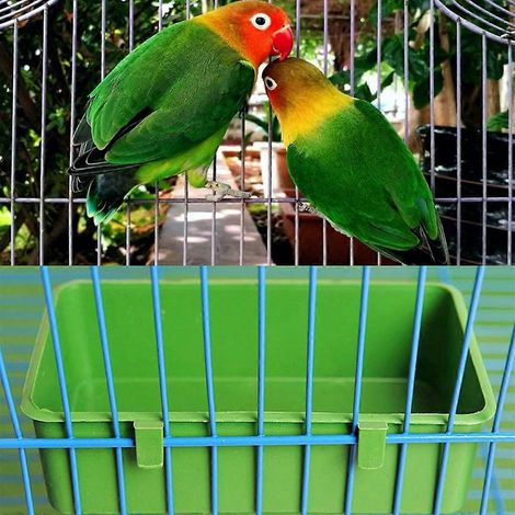 Abreuvoir suspendu pour pigeons, poules et cailles, mangeoire pour cage (1/4)