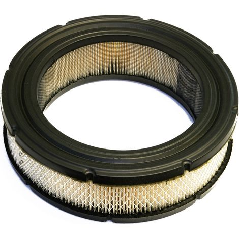 Filtro Aria Vanguard serie 380700, 381700, 386700 BRIGGS &ampamp STRATTON