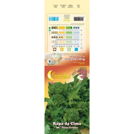 SEMI ORTO CIMA DI RAPA NOVANTINA 10 PZ