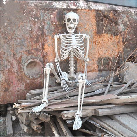 Halloween Realistic Full Body Skeleton Prop Decoration Posable Joints,160CM (1/5)