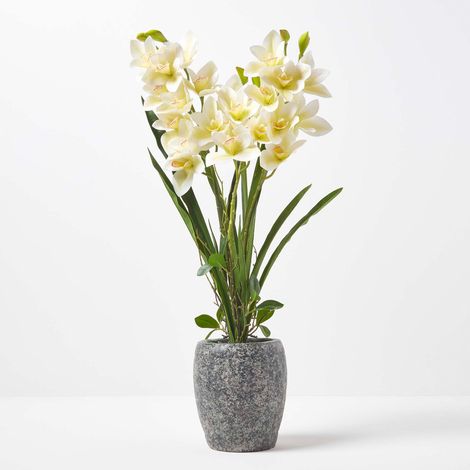 HOMESCAPES Künstliche weiß-grüne Orchidee im dunkelgrauen Zement-Topf, 82 cm