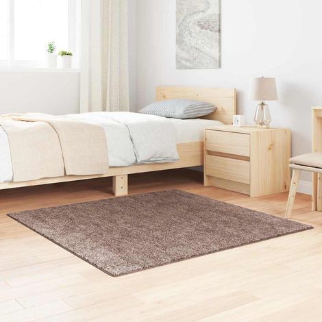 Tapis Shaggy Poils Longs Antidérapant pour Salon en Polypropylène Marron 120 x 120 cm - PANGIVO (1/5)