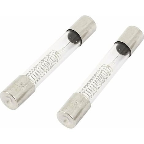 Ecleanfy - Fusible - Micro-ondes 5 kV - Fusible en tube de verre 6 mm x 40 mm (paquet de 5, 0,8 A) (1/4)