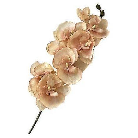 Orchidées papillons artificielles réalistes en soie, centre de table pour mariage, fête, maison ou bureau, fausse branche florale de phalaenopsisChampagne (1/5)