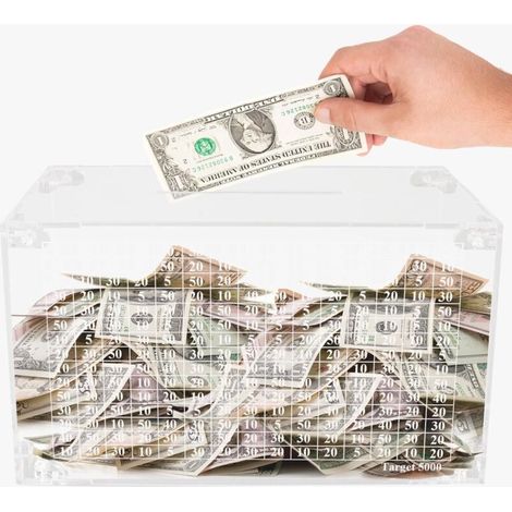 Tirelire pour adultes, tirelire pour adultes avec compteur pour objectif d'épargne de 5 000 , tirelire transparente pour garçons et filles, tirelire ouvrable pendant 225 jours (1/5)