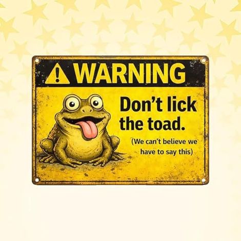 Cute Don't Lick the Toad Decoration (Wall Hanging Sign) - Don't Lick the Toad Wall Hanging Sign