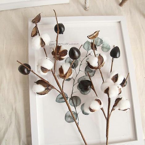 5 têtes de fleurs de coton séchées naturellement, pour bricolage, fruits secs, décoration rustique, décoration de maison, décoration de mariage (1/2)