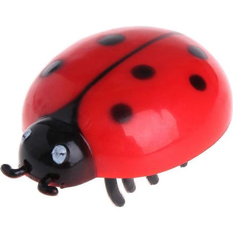 Chaton Jouet Interactif Insecte Réaliste Scarabée Cigale Automatique Marche Jouet Amusant pour Chat