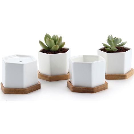 Ensemble de 4 petits pots blancs hexagonaux pour plantes succulentes avec plateau en bambou, support géométrique pour cactus, idéa (1/5)