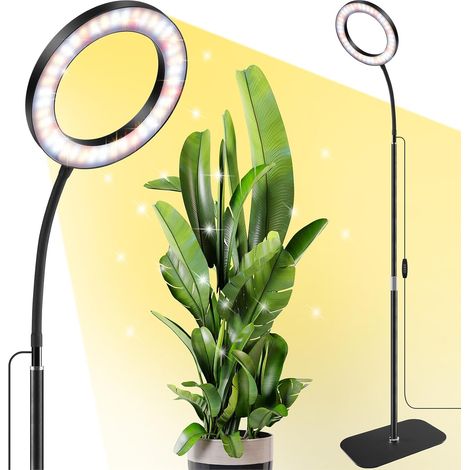 Halo Horticultural Lamp with Base, Full Spectrum, Auto Timer (1/5)