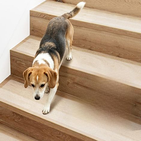 Lot de 15 marches d'escalier antidérapantes - 15 x 60 cm - Bandes adhésives transparentes - Bande antidérapante imperméable pour marches en bois et sols
