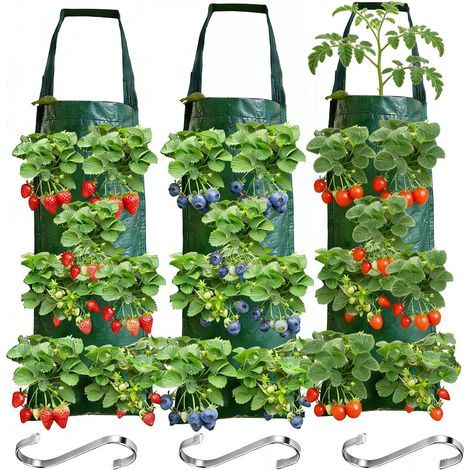 3-teiliger Pflanzsack – Gartenzubehör – für Erdbeeren, Gemüse und Blumen, mit 8 Löchern und Haken, Schwarz, 40 x 60 cm (1/5)