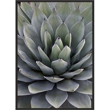 QUADRO INCORNICIATO 53x73 cm Foglie P1040 (1/4)