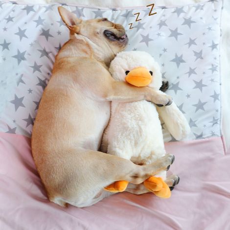 Jouet Pour Chien En Forme De Canard - Peluche Squeaker - Doux Et Résistant - Pour Chiens Petits Moyens Et Grands - 2 Tailles Disponibles (1/5)
