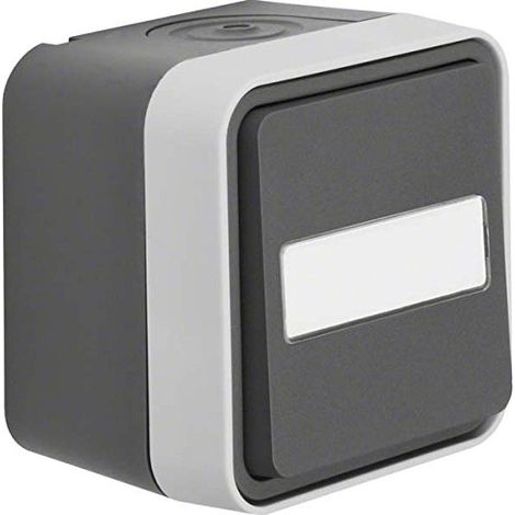 Berker Pulsante Superficie W.1 Grigio, Grigio luminescente 50763555