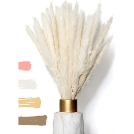 Petit herbe de Pampas comme décoration de fleurs séchées - Herbe de Pampas séchée conservée en permanence pour la décoration de fleurs séchées (1/4)