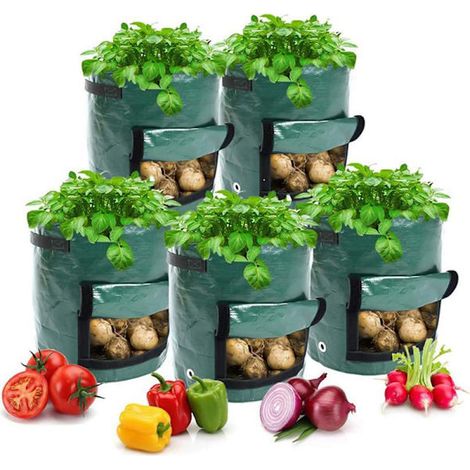 Filiyano-Lot de 5 sacs de culture pour pommes de terre, tomates et arachides 3545cm (1/5)