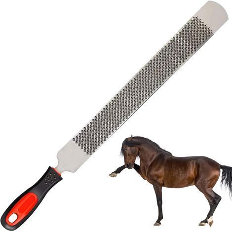 Râpe à sabots de 20 cm, en acier au carbone, ble face avec manche, tête ronde, outil de soin des sabots (1/5)