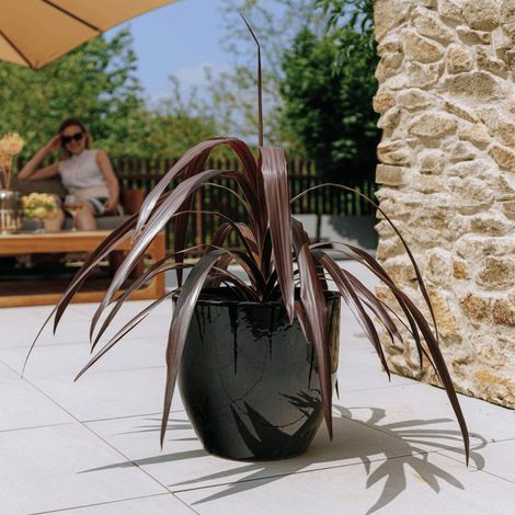 Maceta LANCELOT 36x34cm negro (1/3)
