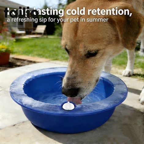 Eisgekühlter Wassernapf für Haustiere, wiederverwendbares, mit Eis gefülltes Sommer-Kühlgerät, langanhaltende Kältespeicherung für Katzen und Hunde, 1 Stück (1/5)