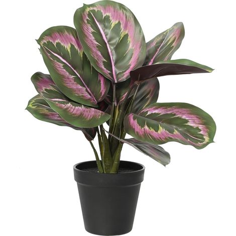 EVERLANDS Korbmarante Grün/Rosa im schwarzen Topf Ø 26 cm 35 cm - Kunstpflanzen