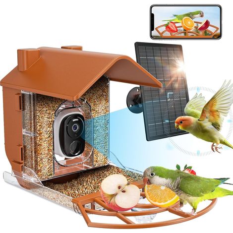 Registrazione video automatica e notifiche istantanee tramite app, telecamera intelligente per mangiatoia per uccelli con intelligenza artificiale che identifica le specie di uccelli, mangiatoia per u (1/5)