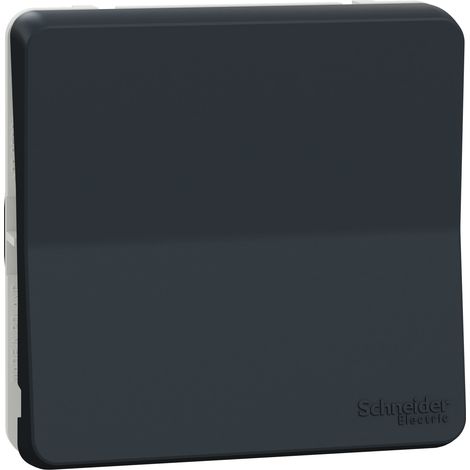 Mureva Styl - Va e vieni - componibile - IP55 - IK08 - connessione automatica - grigio - SCHNEIDER ELECTRIC - MUR37021 (1/2)