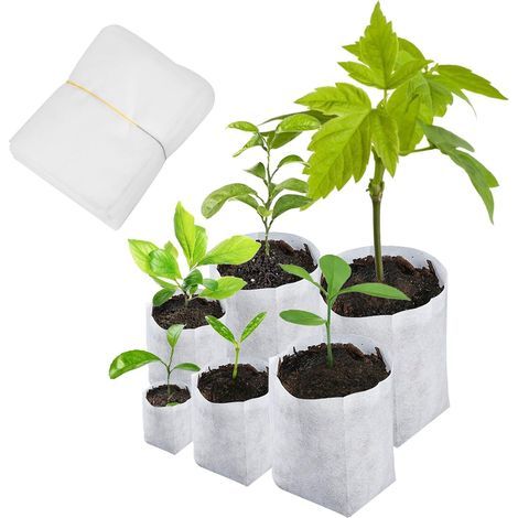 600 biodegradable seedling bags, 6 sizes of non-woven planting bags for potatoes, tomatoes and garden plants (1/5)
