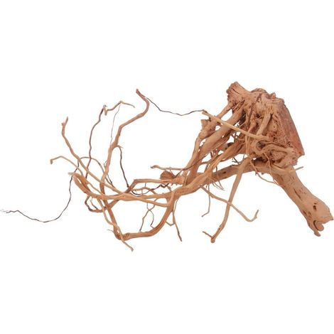 L Drachen Wurzel Nr.3198 Holz Deko Aquascaping