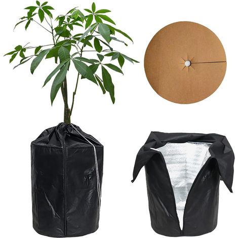 Housses d’Hivernage pour Plantes en Pot,Housse Hivernage Plante,Sac de Protection Thermique pour Pot de Fleurs,Sac Protection Contre Le Gel Hivernal pour Plantes en Pot. (1/5)