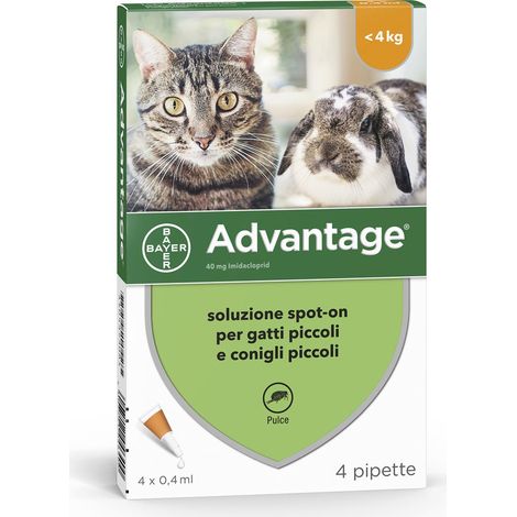 Advantage 40 punktgenaue Pestizidlösung für Katzen bis 4 kg Gewicht 4 Pipetten