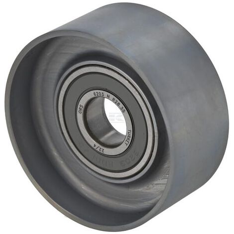 Rodillo tensor AGCO F718202040060 (1/2)