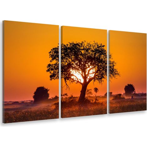 Tableau triptyque deco cache cache et coucher de soleil - 90x60 cm (1/5)