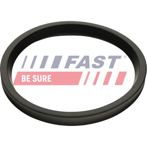 Guarnizione per tubo turbina veloce FT48947 (1/2)