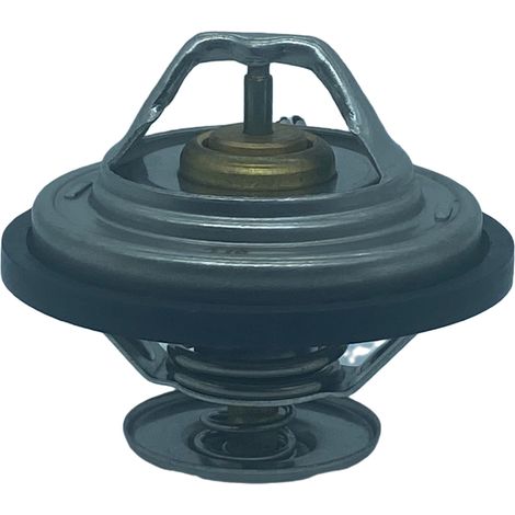 Thermostat automobile/Thermostat de liquide de refroidissement : Compatible avec Audi/OE : 078121113C (1/5)